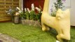 Pirmoji aplinkos dizaino konferencija „Garden style“: ko lietuviams reikėtų pasimokyti kuriant savo sklypą