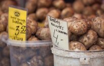 Rusai už bulves moka neregėtas sumas, bet lietuvių neįsileidžia