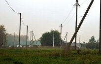 Elektros linijos šalia želdinių