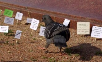 Atviros iniciatyvos „Mikro-protestas nr. 1“ dalyviai palieka Lukiškių aikštėje mažus transparantus, dalindamiesi savo požiūriu į aikštę ir paminklą, autorių nuotr.