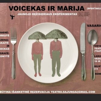Teatro sąjungoje „Jaunojo režisieriaus eksperimento“ premjera