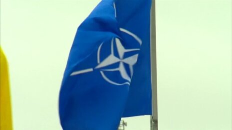 Sergey Aleksashenko on whether or not Mr. Putin would try and destroy NATO given the opportunity