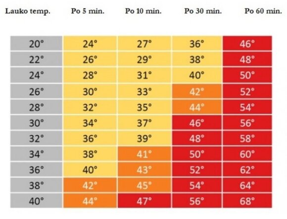 Temperatūra automobilyje