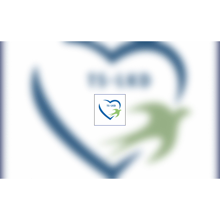 TS-LKD logo