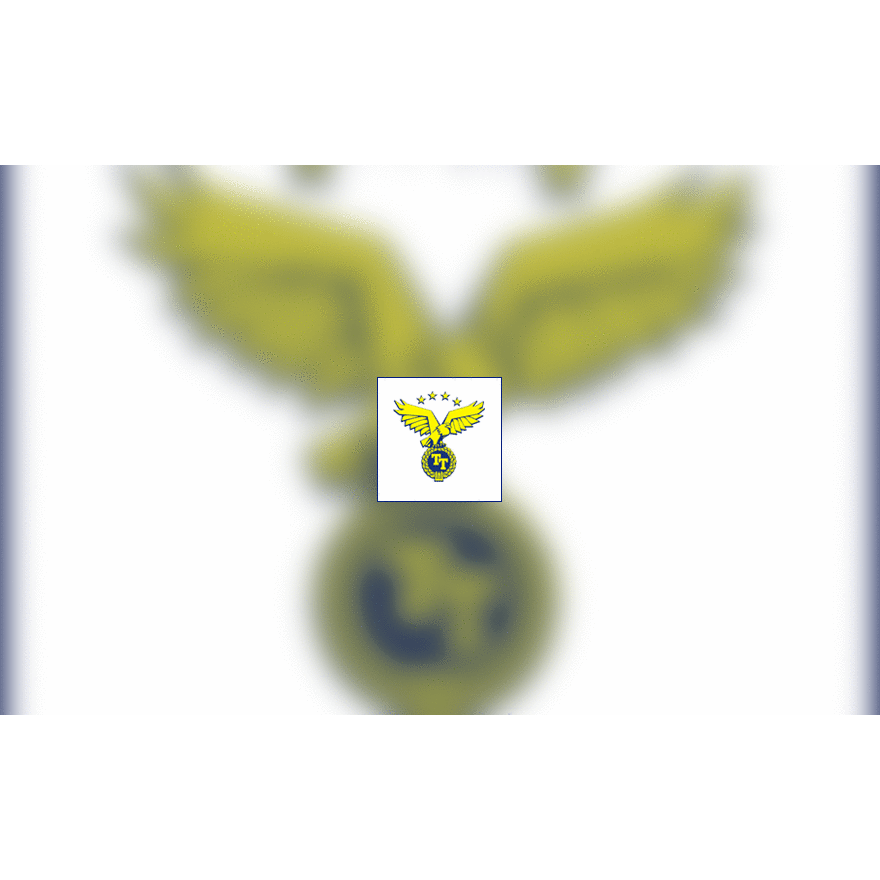 TT logo