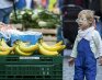 Kokie ekomados vėjai dabar pučia Berlyne, kuris dar vadinamas Europos ekosostine?