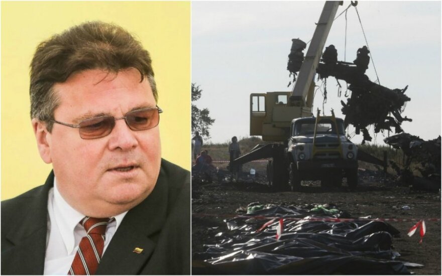Глава МИД Литвы по-новому назвал крушение малайзийского самолета