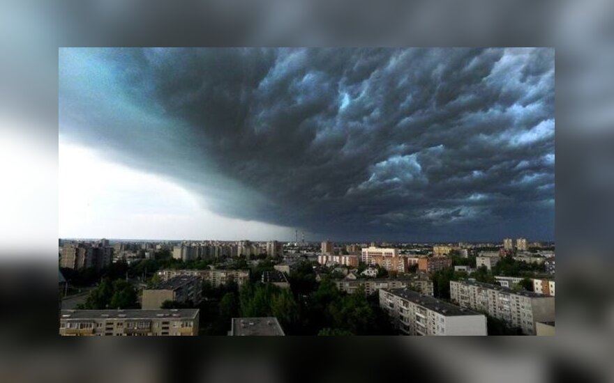 Nawałnica w centrum Wilna. Drzewo spadło na samochód (jest nagranie)