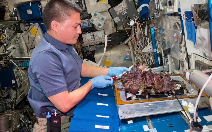 NASA astronautas Kjell Lindgren skina TKS užaugintas salotas
