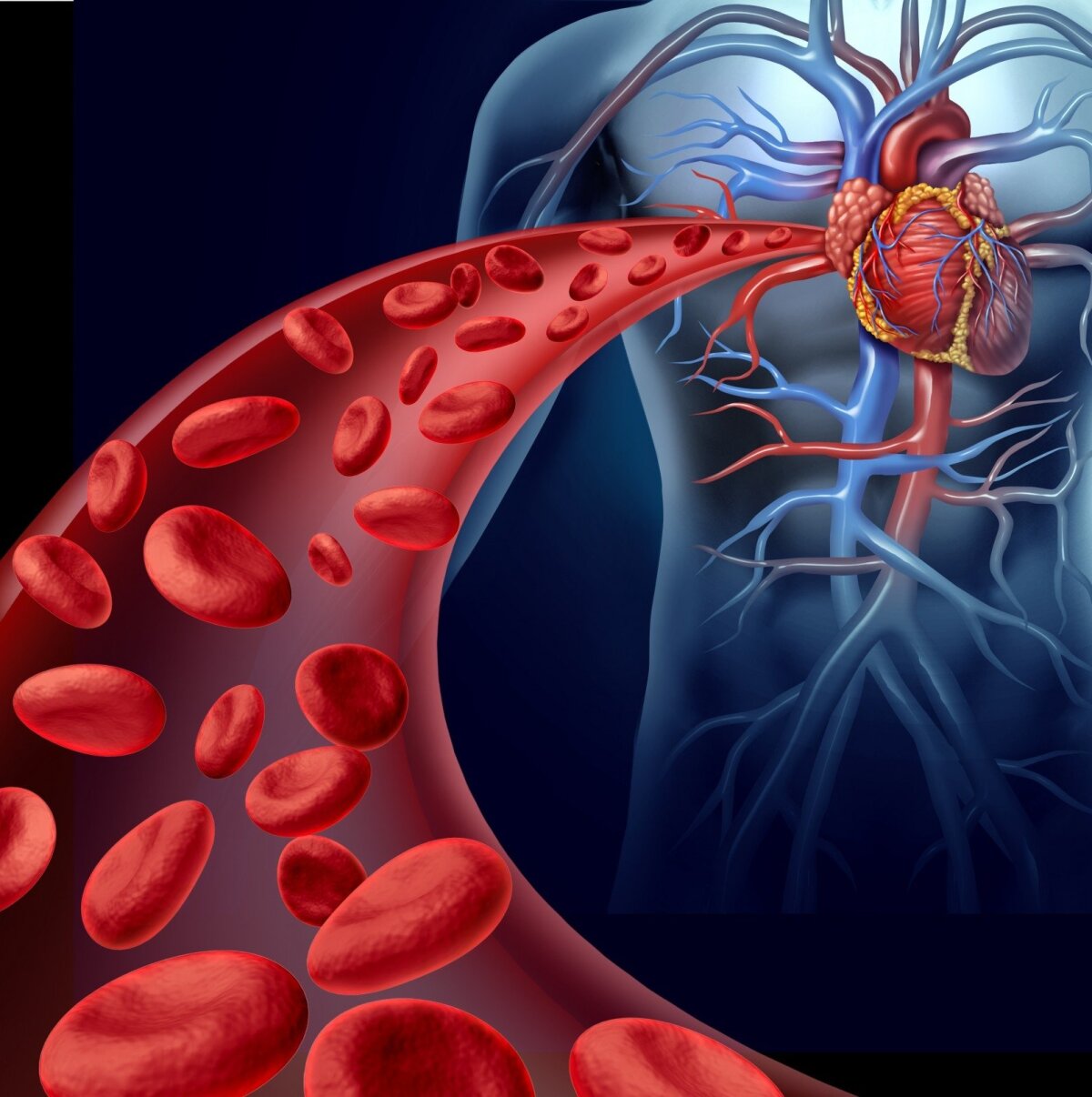 Vyresnių žmonių arterinė hipertenzija: ar visi sirgsime? | Karjera ir sveikata
