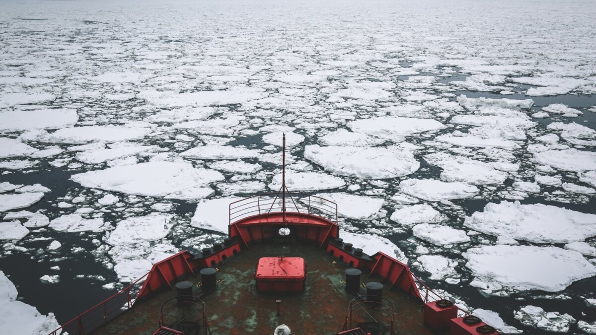 Laivyba Arktyje