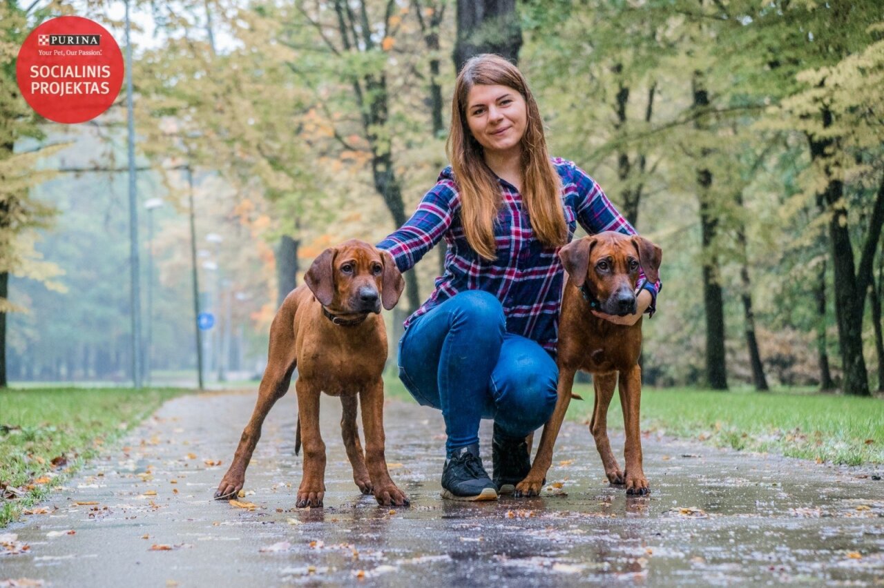 Rodezijos Ridzbekai Liutų Medziotojai Is Afrikos Delfi Letena