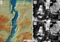 Puikiai Issilaikes Archeologų Radinys 9000 Metų Amziaus Kape Kinijoje Perrasys Alaus Istorija Delfi Mokslas