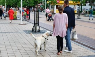 Poilsiautojai su šunimis Palangoje
