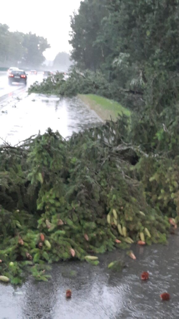 Lithuania is terrified of storms: even the road is covered with trees and electricity has been lost in some places