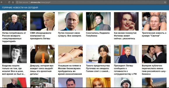 Grybauskaitė tapo naujos schemos taikiniu: vienas paspaudimas gali pridaryti daug bėdų