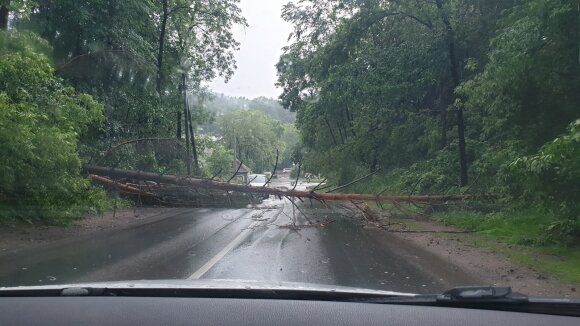 A storm washes Lithuania: a powerful rain swept through Vilnius - the streets sank, the trees fell