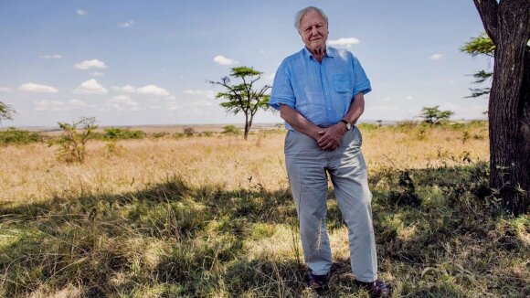 Davidas Attenborough Masai Mara rezervate Šiaurės vakarų Kenijoje dokumentinio filmo Gyvenimas mūsų planetoje filmavimo metu. Conor McDonnell nuotr.