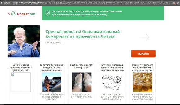 Grybauskaitė tapo naujos schemos taikiniu: vienas paspaudimas gali pridaryti daug bėdų
