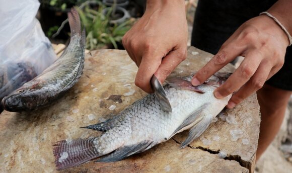 Spoon cleaning the fish