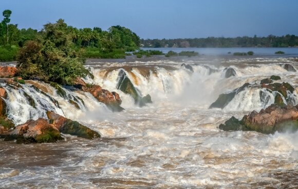 WWF ataskaita: Mekongo upės regione per metus aptikta daugiau nei 220 naujų rūšių