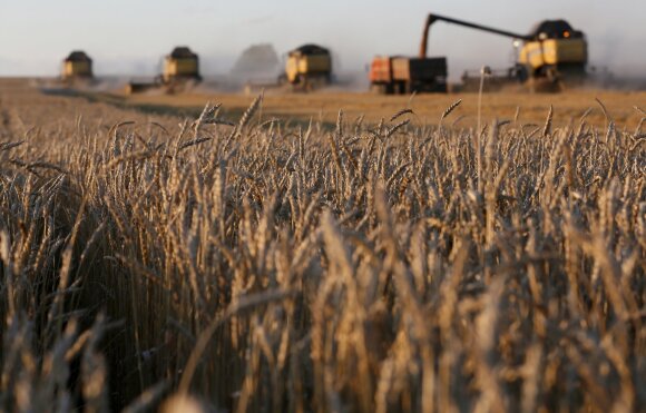 Landwirtschaft