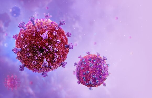 ŽIV viruso dalelės