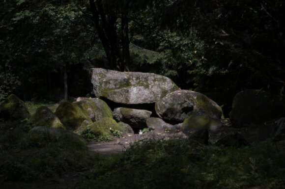 Spėjamos Lopaičių Šventvietės spėjamas dolmenas. Tikri dolmenai, anot jų tyrinėtojų, senovės žmonių pastatyti pažymėti palankius žmogui Žemės energetinius taškus (E. Bunkos nuotr.)