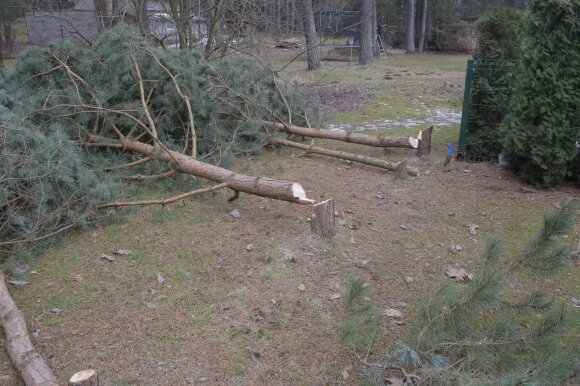 Neighbor conflict in Kaunas district, Smiltynai village