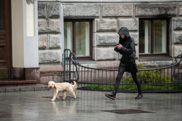 After the summer heat, there is an endless rain: the temperature will change from the middle of the week.