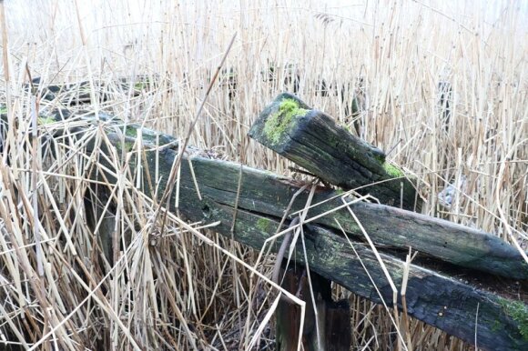 Burned bridge structures (photo by Denis Nikitenko)