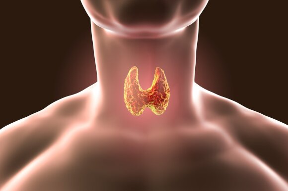 Thyroid