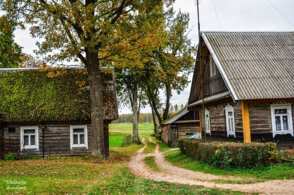 Ada traveling through endangered Lithuania: future generations will be able to see in my photos what we will soon have