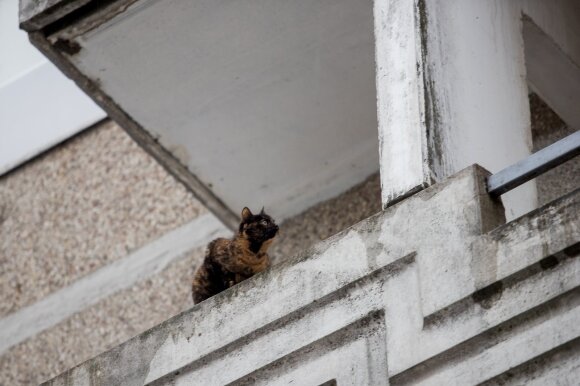 Activities you cannot do on your balcony - This is considered arbitrariness and is prohibited