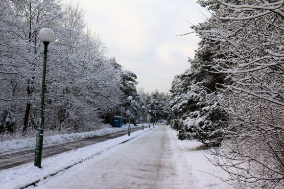 ESO apologizes to the neighbors without electricity: all the employees worked, it was all due to the breaking of trees