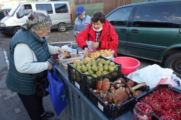 The residents of Šilutė are happy with the mushroom harvest: they wear them in hats, carry them in their trunks