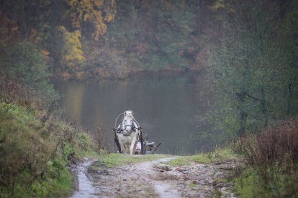 If you turn in the wrong direction on the forest road, you will be fined