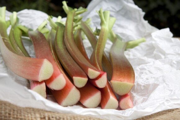 Rhubarb stalks