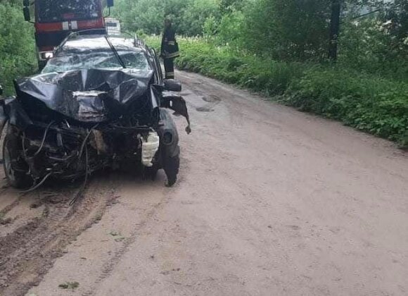 In the Kretinga district, a car hit a tree: injuries reported