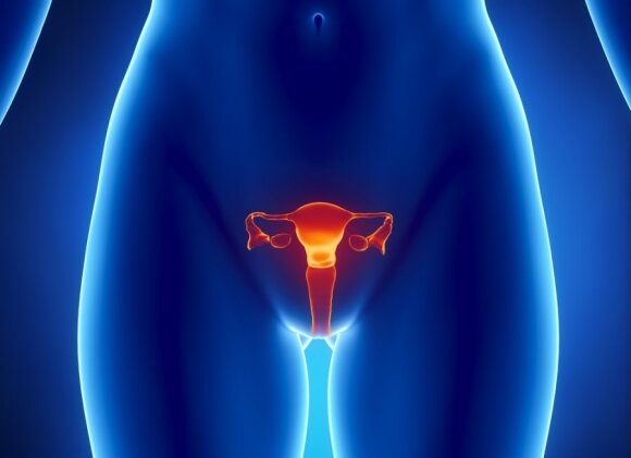 Moters reprodukciniai organai, kiaušidės, kiaušintakiai, gimda