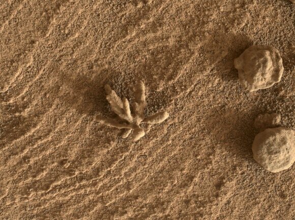 Søk etter liv på Mars pågår og interessante strukturer blir oppdaget.