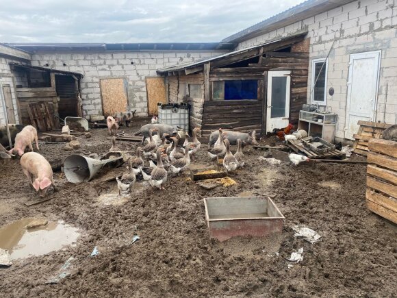Tai, ką išvydo per bombardavimą apleistame ūkyje, atėmė žadą – nutaręs išgelbėti likusius gyvulius ukrainietis tapo socialinių tinklų pasididžiavimu