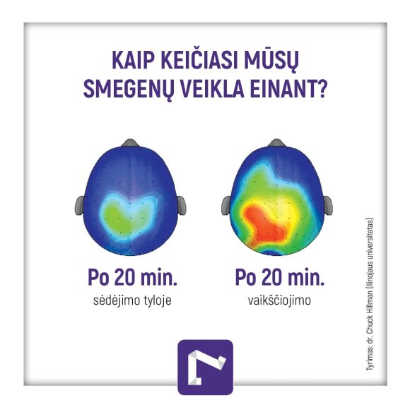 How brain activity changes as you go