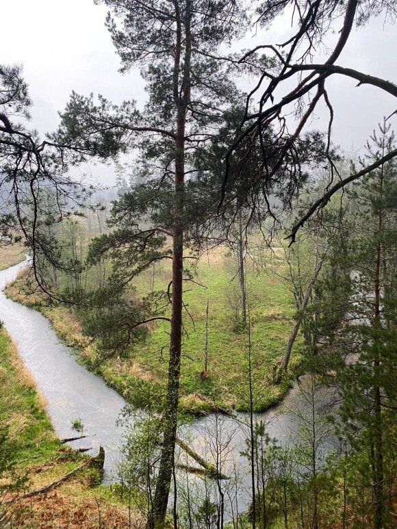 By time in nature: the 5 most beautiful cognitive trails in Lithuania