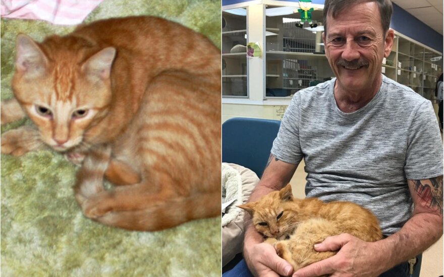 14 metų dingęs katinas pagaliau grįžo namo