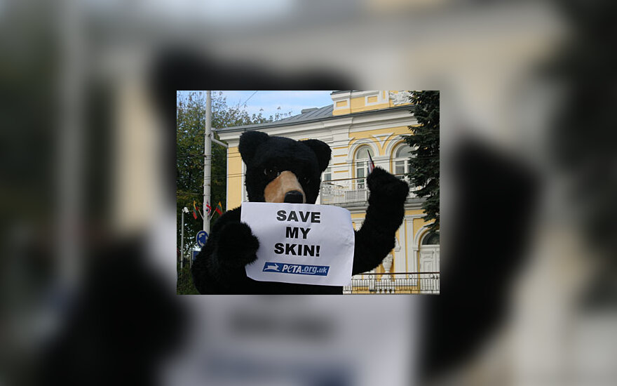 PETA meškiukas akcijoje prie Didžiosios Britanijos ambasados