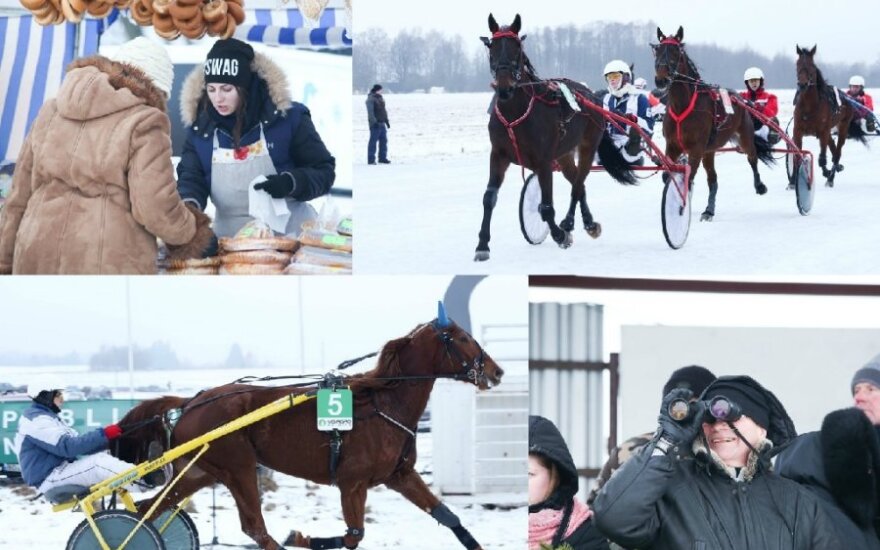 Dusetas drebina „Sartai 2015“ ristūnų lenktynės: svečių ir azarto antplūdis