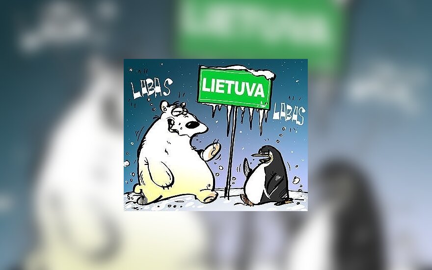 Lietuvoje užfiksuota daugiau kaip 20 laipsnių šalčio
