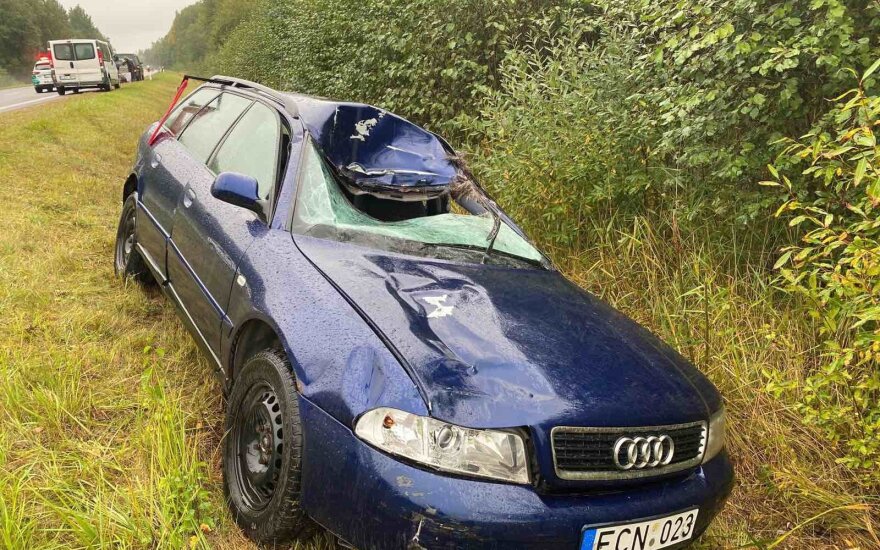 Prie Vilniaus partrenktas briedis: sužalota vairuotoja, gyvūnas nugaišo, automobilis „Audi“ sumaitotas