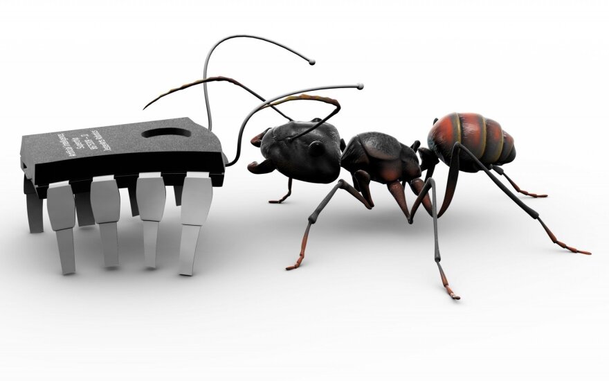 Ant robot